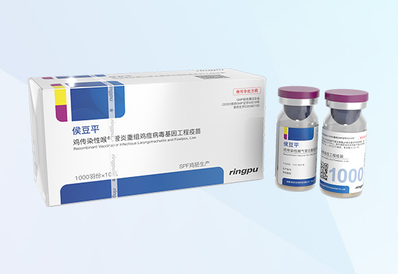 亚游集团·ag8(中国)官网-只為非同凡享