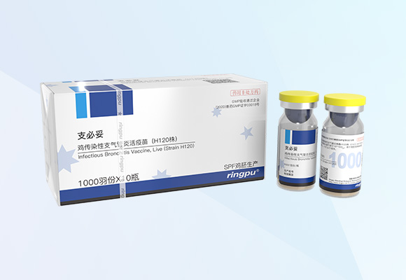 亚游集团·ag8(中国)官网-只為非同凡享
